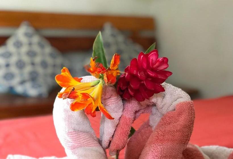 بنسيون Ayahuaska Backpackers House  Casa Completa En Alquiler