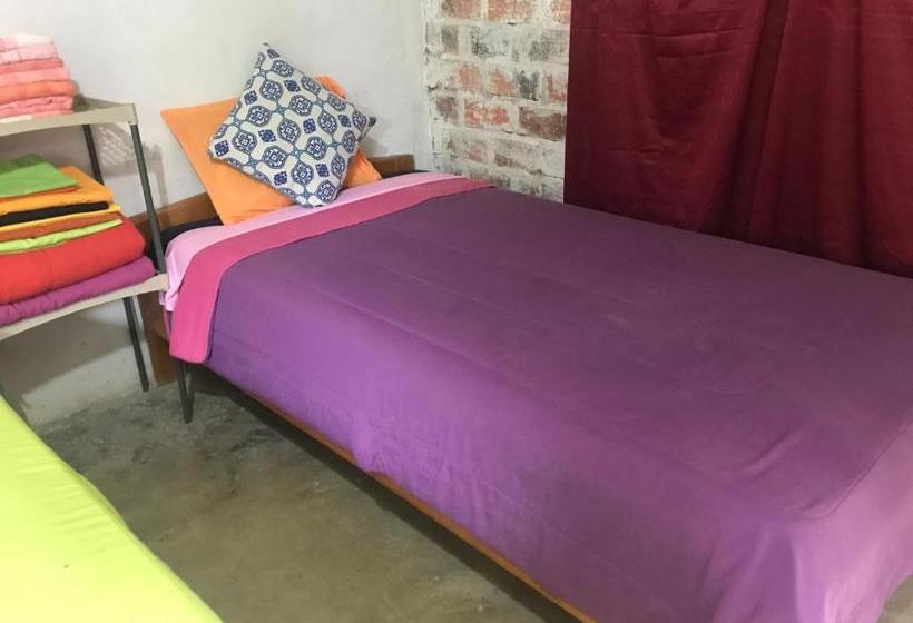 بنسيون Ayahuaska Backpackers House  Casa Completa En Alquiler