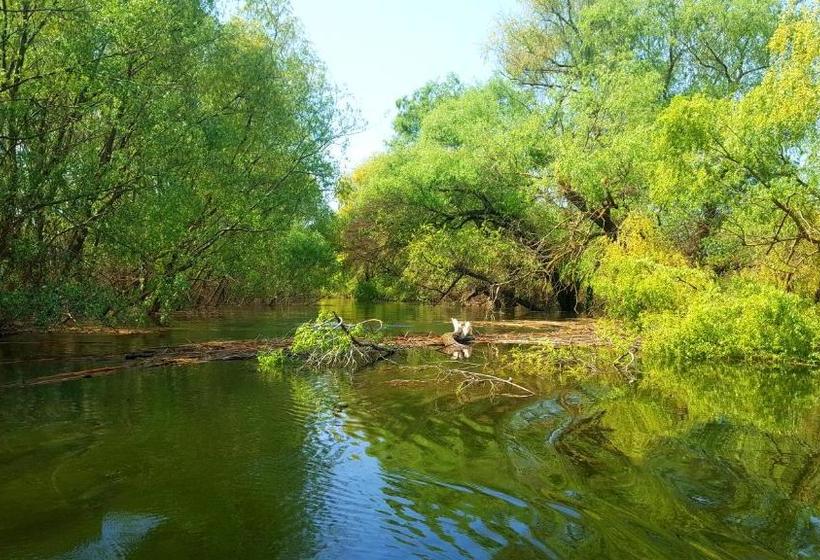 Pensiunea Blue House