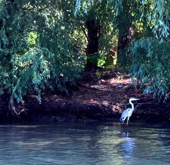 Pensiunea Blue House