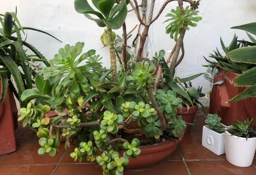 بنسيون Bluesky Arniston Guest House