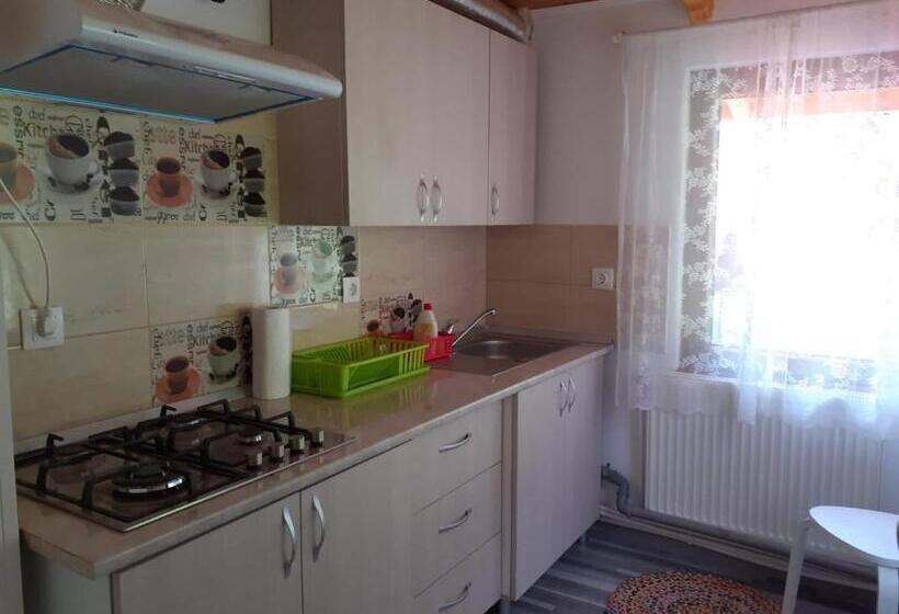 بنسيون Casa Maia Dambovicioara