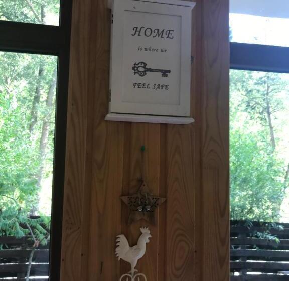 بنسيون Casa Maia Dambovicioara