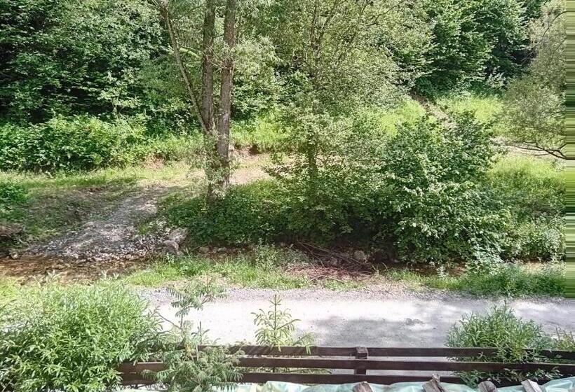 بنسيون Casa Maia Dambovicioara