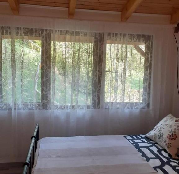 بنسيون Casa Maia Dambovicioara