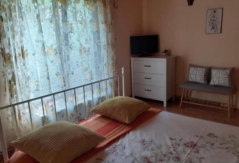 פנסיון Casa Maia Dambovicioara