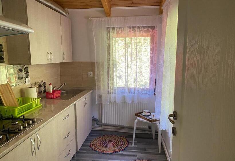 بنسيون Casa Maia Dambovicioara