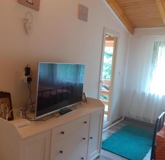 بنسيون Casa Maia Dambovicioara