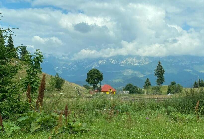 פנסיון Casa Maia Dambovicioara