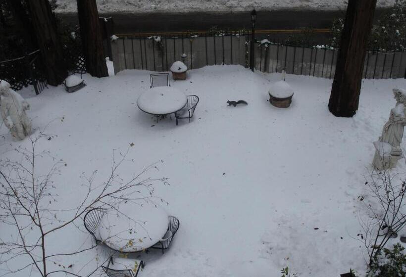 פנסיון Fleur De Lac Europeran Inn