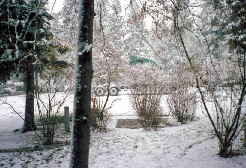 膳宿费 Fleur De Lac Europeran Inn