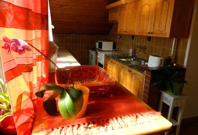 פנסיון Helga Vendégház