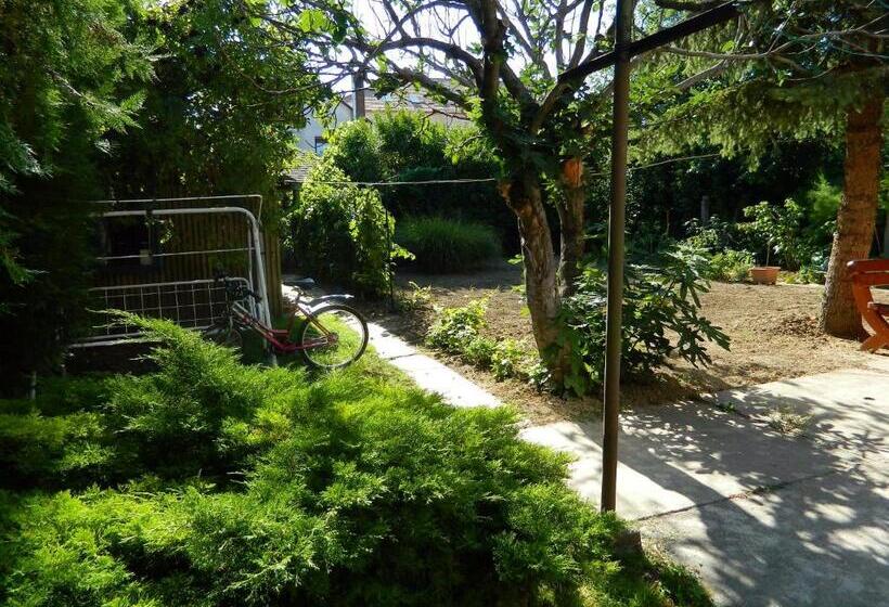 פנסיון Helga Vendégház