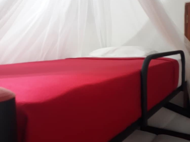 پانسیون Hostal Cocobomgo