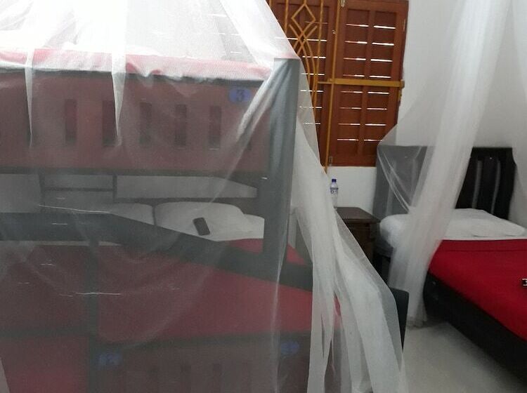 ペンション Hostal Cocobomgo