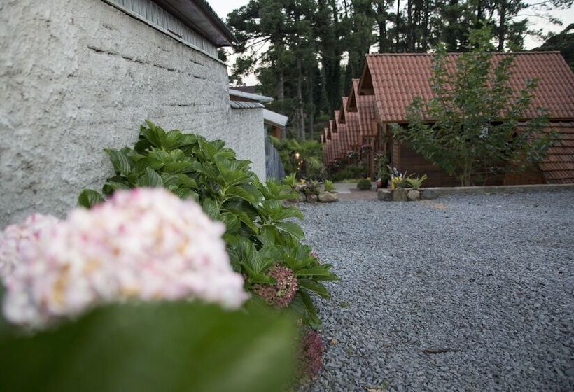 פנסיון Pousada Aconchego Dos Sete Anões