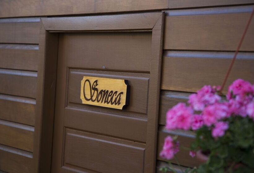 פנסיון Pousada Aconchego Dos Sete Anões