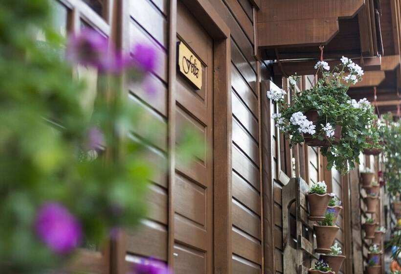 פנסיון Pousada Aconchego Dos Sete Anões