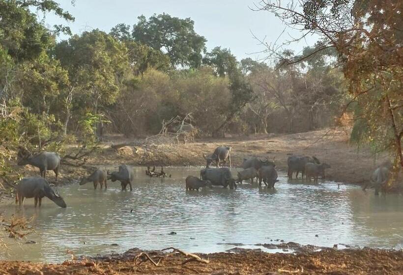 Пансион Suduweli Beauties Of Nature   Yala