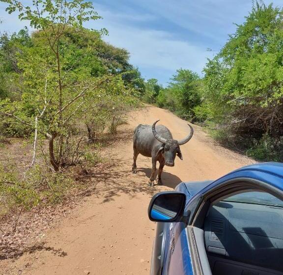 Пансион Suduweli Beauties Of Nature   Yala
