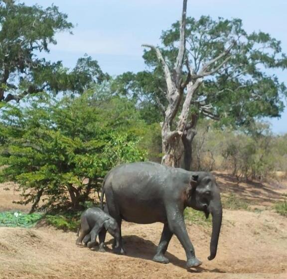 Пансион Suduweli Beauties Of Nature   Yala