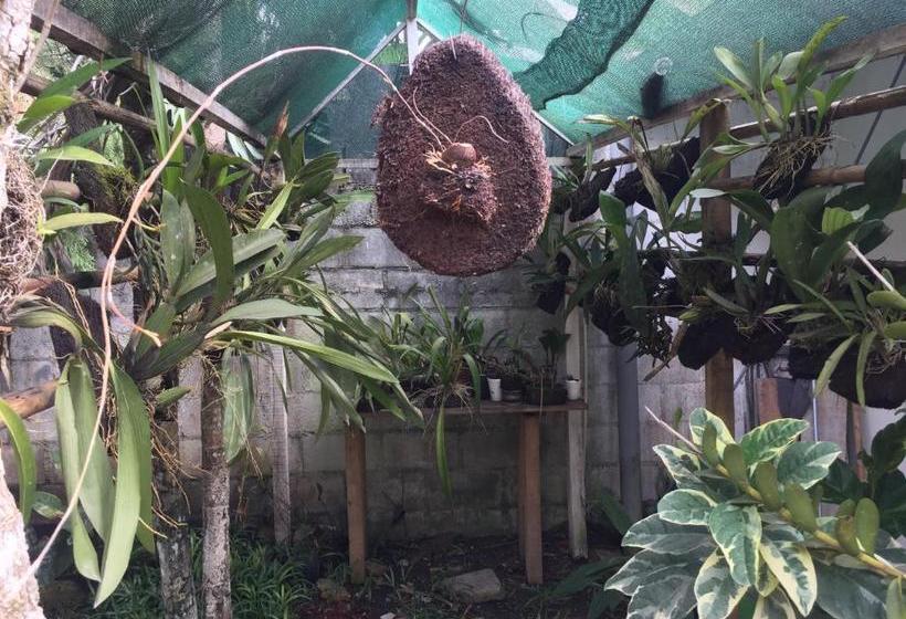 هاستل Hostal La Cueva Moyobamba