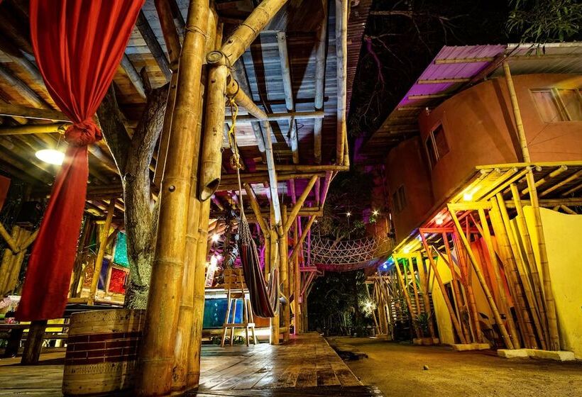 هاستل Kanta Sana