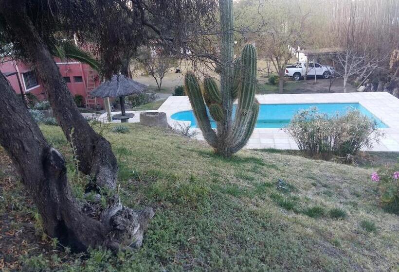 ユースホステル Posada Cerro Los Nogales