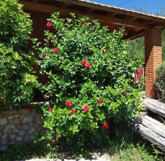 הוסטל Posada Cerro Los Nogales