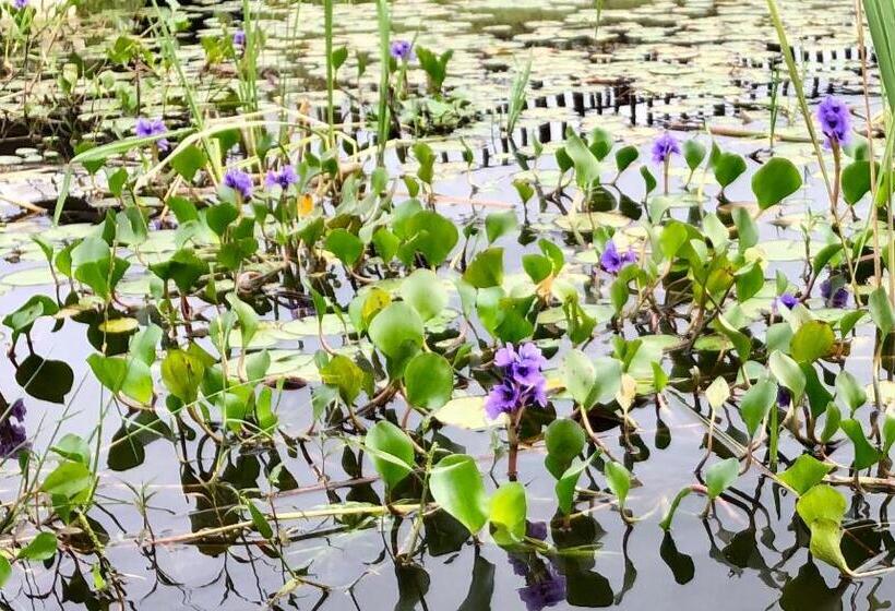 Общежитие Posada Che Teindy