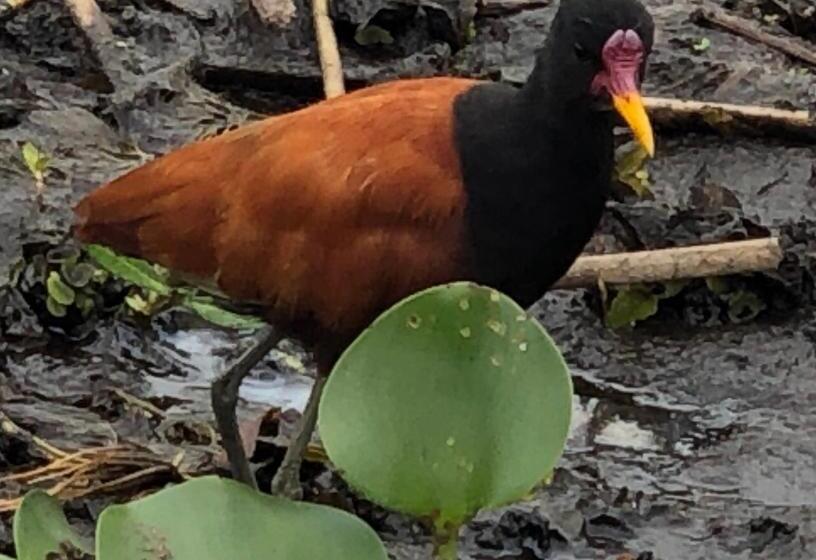 Общежитие Posada Che Teindy