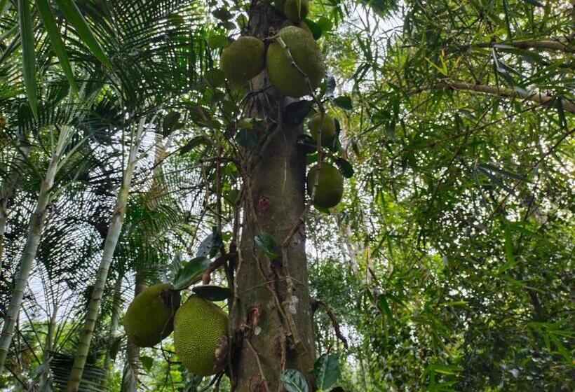 酒店 Philip Mary Farm Stay