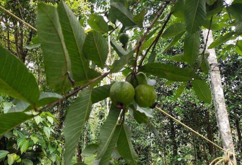 酒店 Philip Mary Farm Stay