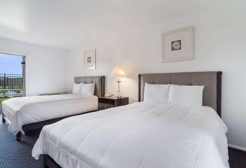 汽车旅馆 Rodeway Inn At Somers Cove Marina