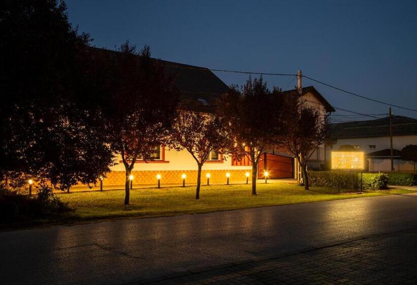 Pensionat Airport Károly Centrál