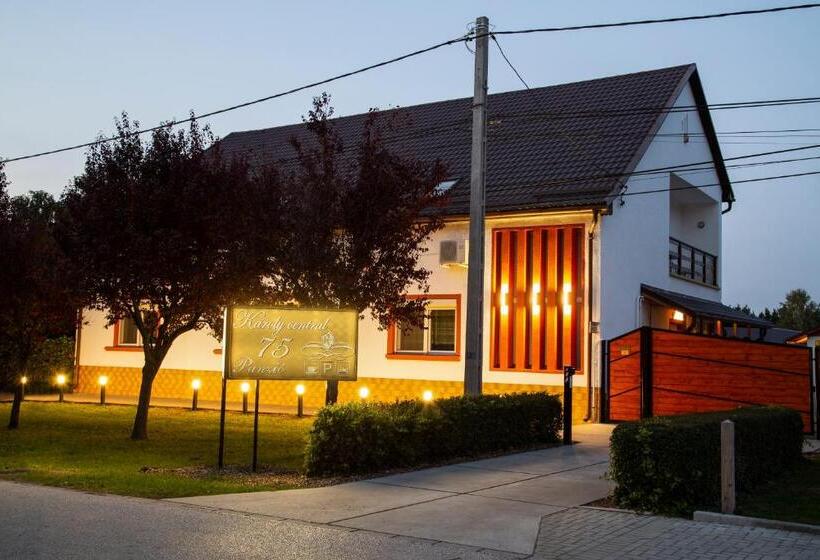 Pensionat Airport Károly Centrál