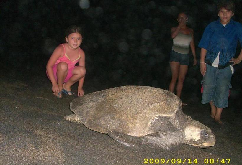 펜션 Beach Hostal Oasis