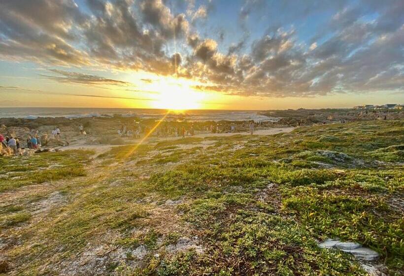 פנסיון Canal Guest House