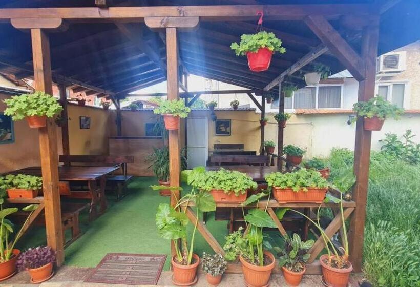 بنسيون Guest House Pip