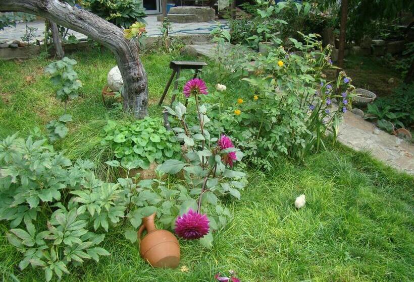 پانسیون Guest House Ucha