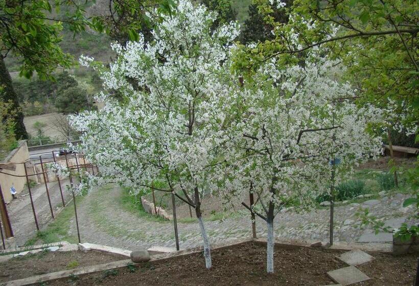 پانسیون Guest House Ucha