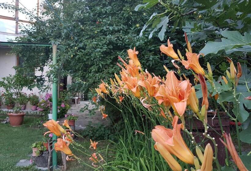 Пансион Guest House Veselina