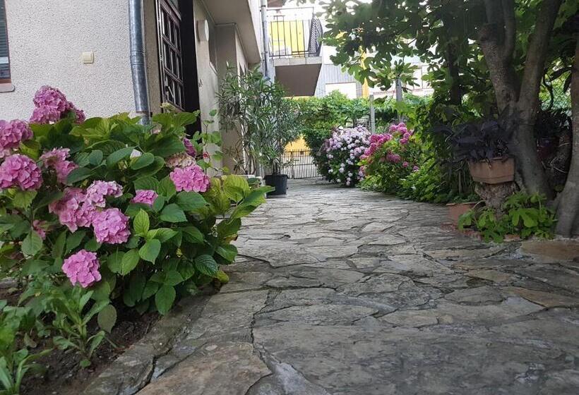 Пансион Guest House Veselina