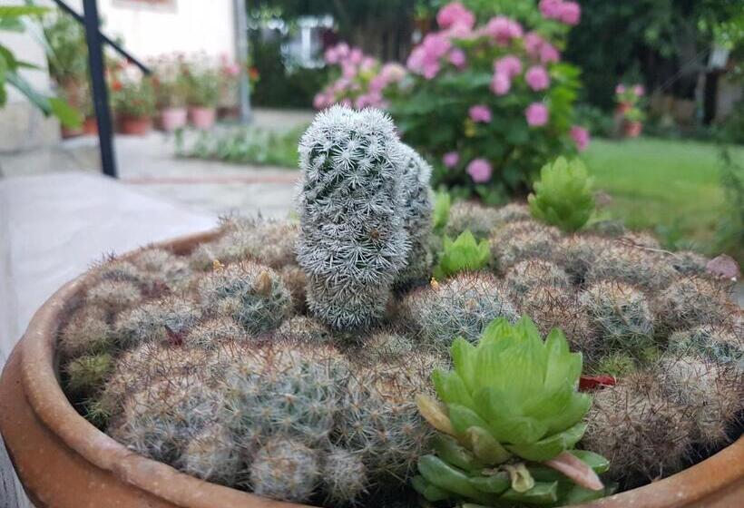 Пансион Guest House Veselina