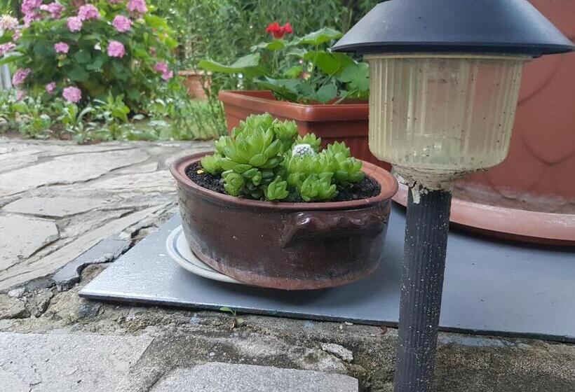 Пансион Guest House Veselina