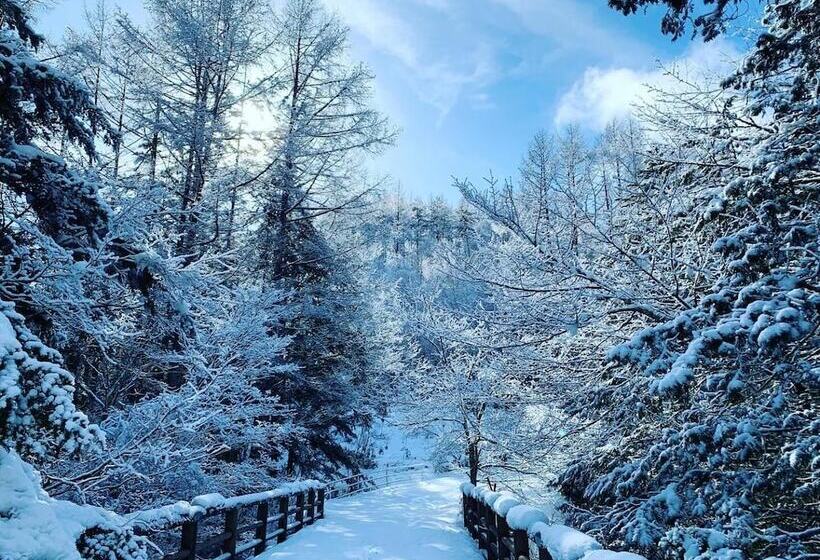 ペンション Guesthouse Hoshizora No Akari