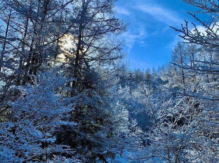 ペンション Guesthouse Hoshizora No Akari