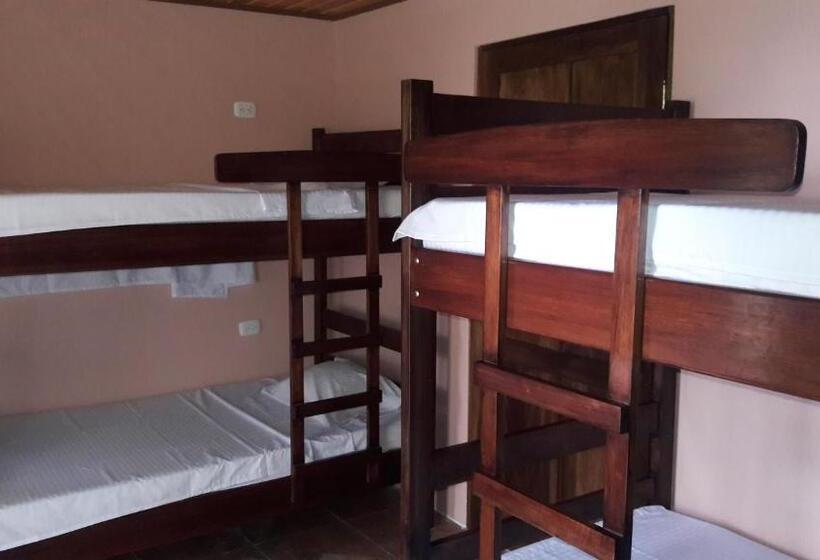 ペンション Hostal Y Cabinas Anita And Rafting Tour!