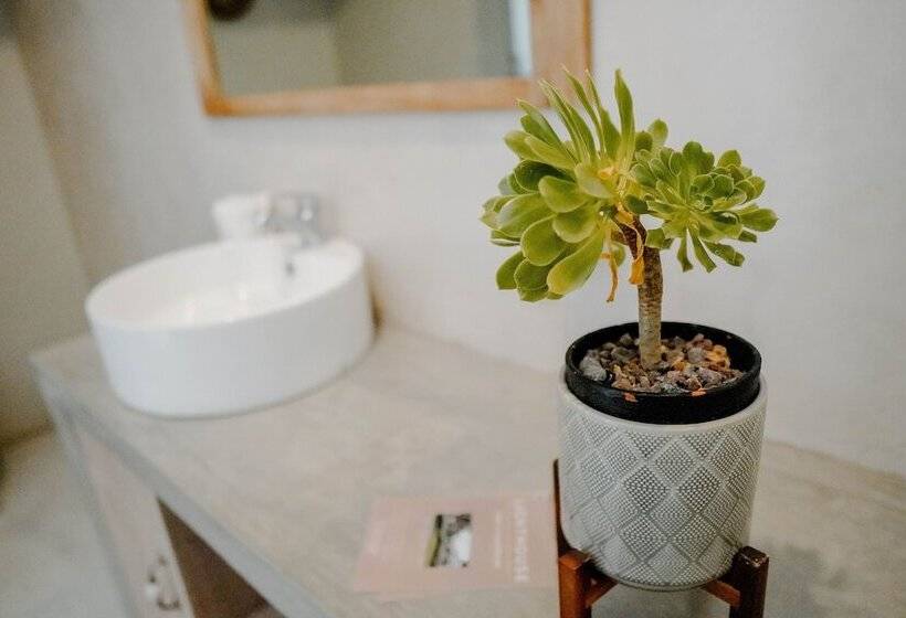 פנסיון Lighthouse Guesthouse & Cafe