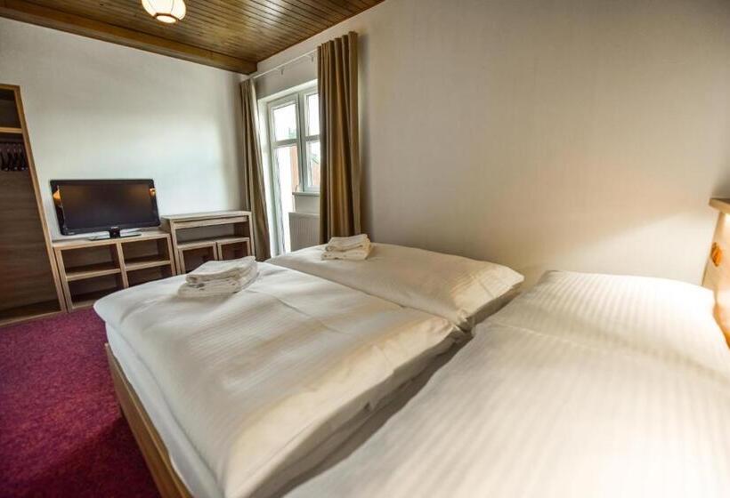 بنسيون Penzión Lomnicky